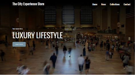 screenshot of City Experience Store landing page screenshot